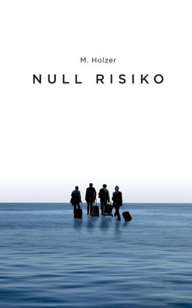 Cover for Holzer · Null Risiko (Book) (2019)