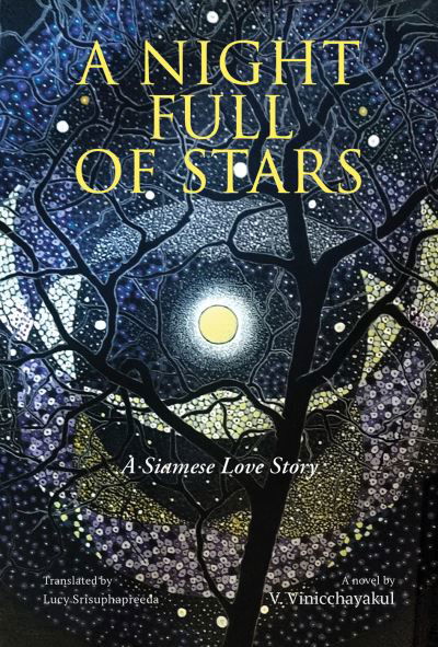 A Night Full of Stars - V. Vinicchayakul - Books - River Books - 9786164510807 - April 24, 2024