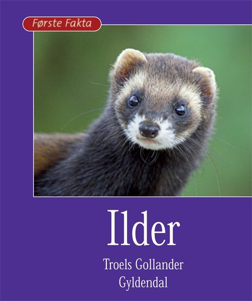 Første Fakta: Ilder - Troels Gollander - Bøker - Gyldendal - 9788702066807 - 3. august 2009