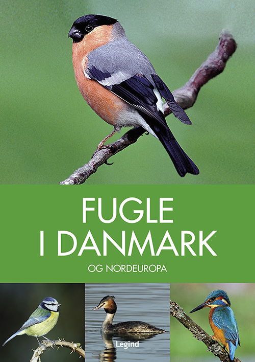 Cover for Peter Goodfellow · Naturguide: Fugle i Danmark og Nordeuropa (Inbunden Bok) [2:a utgåva] (2020)