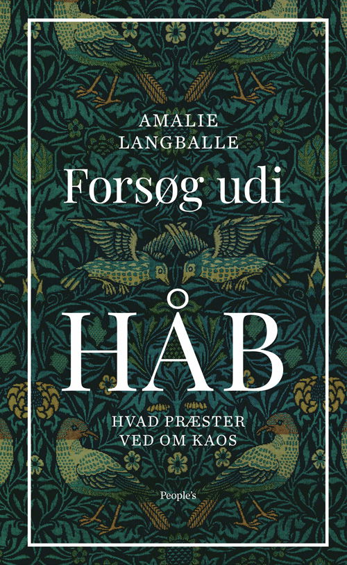 Cover for Amalie Langballe · Forsøg udi håb (Innbunden bok) [1. utgave] (2021)