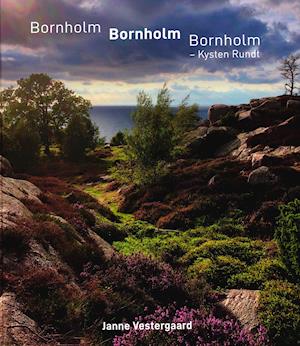 Cover for Janne Vestergaard · Bornholm, Bornholm, Bornholm - Kysten rundt (Hardcover Book) [1e uitgave] (2019)