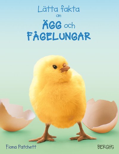 Lätta fakta: Lätta fakta om ägg och fågelungar - Fiona Patchett - Boeken - Berghs - 9789150222807 - 1 november 2018