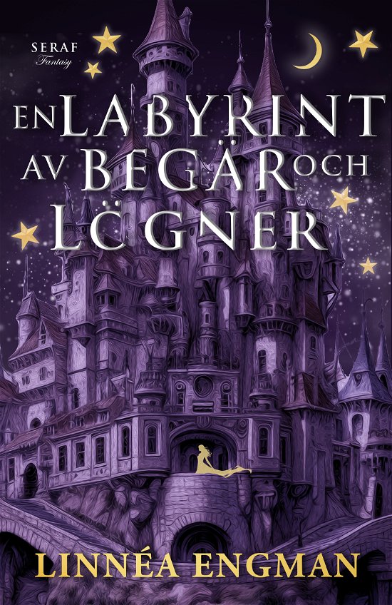 Cover for En labyrint av begär och lögner (Book) (2024)