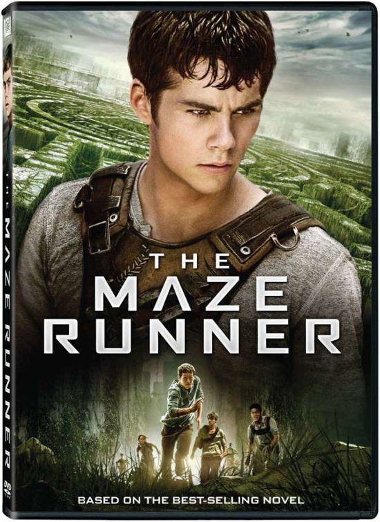Cover for Maze Runner (DVD) (2014)