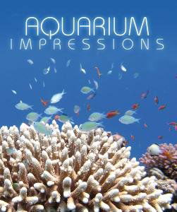 Cover for Aquarium Impressions (DVD) (2007)