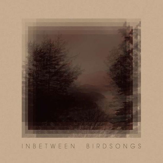 Inbetween Birdsongs - Matthias Gusset - Música - RADICALIS - 0195497805808 - 14 de maio de 2021