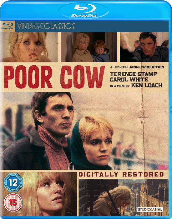 Poor Cow - Poor Cow - Filmes - Studio Canal (Optimum) - 5055201833808 - 25 de julho de 2016