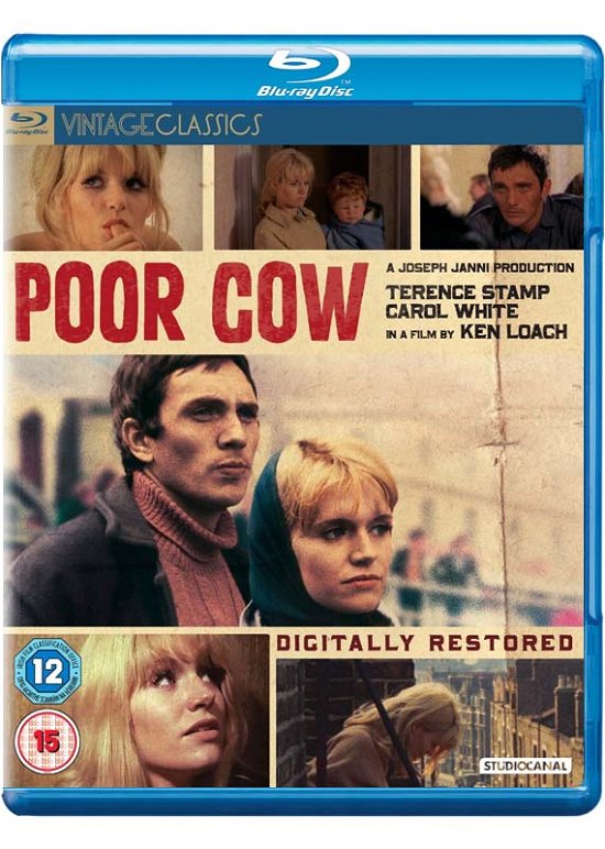 Cover for Fox · Poor Cow (Blu-ray) (2016)