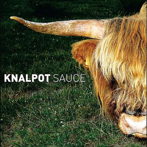 Sauce - Knalpot - Music - CD Baby - 8714835084808 - June 7, 2011