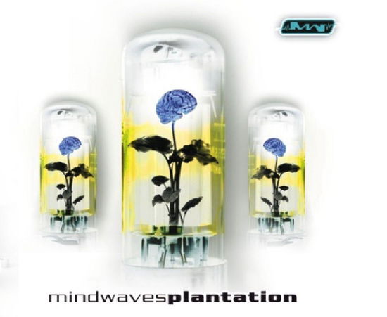 Plantation - Plantation - Music - MNDW - 8907654999808 - June 17, 2008