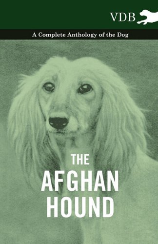Cover for The Afghan Hound - a Complete Anthology of the Dog - (Paperback Book) (2010)