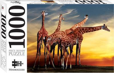 Cover for Hinkler Pty Ltd · Giraffes, Open-air Zoo France 1000 Piece Jigsaw - 9781488900808 (GAME) (2016)