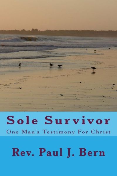 Cover for Rev Paul J Bern · Sole Survivor: One Man's Testimony for Christ (Paperback Book) (2015)