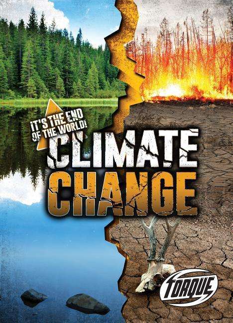 Cover for Lisa Owings · Climate Change - It's The End Of The World (Hardcover Book) (2020)