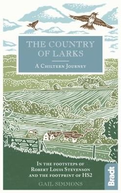 Cover for Gail Simmons · The Country of Larks: A Chiltern Journey: In the footsteps of Robert Louis Stevenson and the footprint of HS2 (Hardcover Book) (2019)