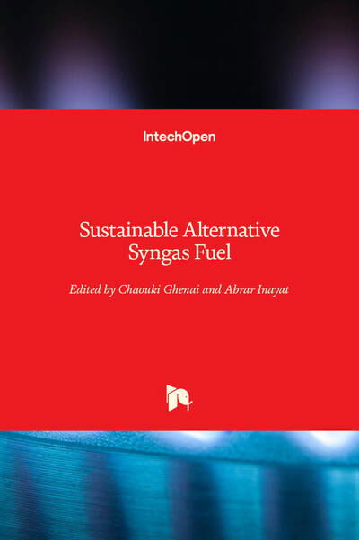 Cover for Chaouki Ghenai · Sustainable Alternative Syngas Fuel (Innbunden bok) (2019)