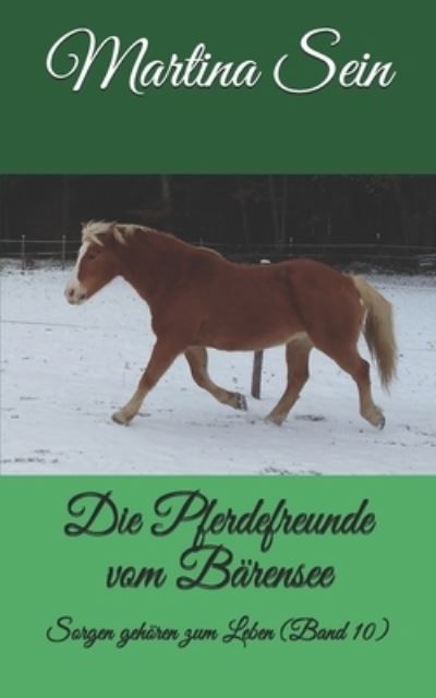 Cover for Martina Sein · Die Pferdefreunde vom Barensee (Taschenbuch) (2017)