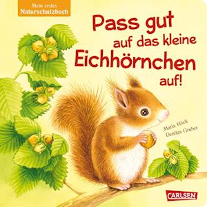 Cover for Maria Höck · Pass gut auf das kleine Eichhörnchen auf (Book) (2024)