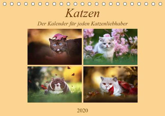 Cover for Bürger · Katzen - Der Kalender für jeden (Book)