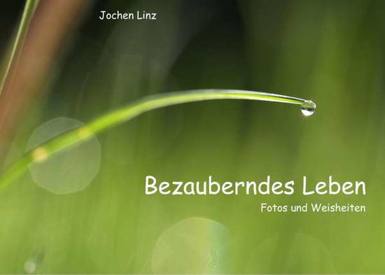 Cover for Linz · Bezauberndes Leben (Book)