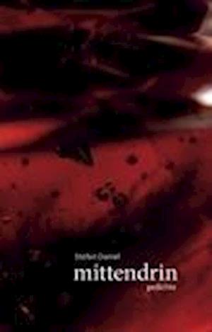 Cover for Daniel · Mittendrin (Book)