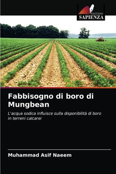 Cover for Muhammad Asif Naeem · Fabbisogno di boro di Mungbean (Paperback Book) (2021)