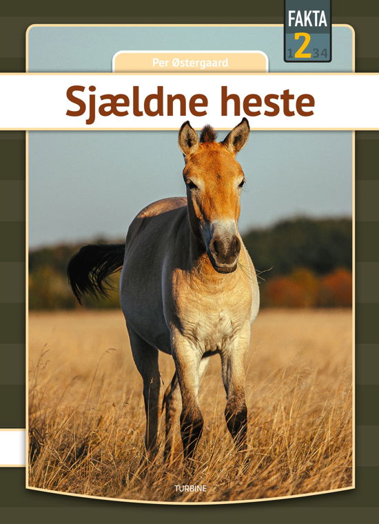 Cover for Per Østergaard · Fakta 2: Sjældne heste (Hardcover bog) [1. udgave] (2024)