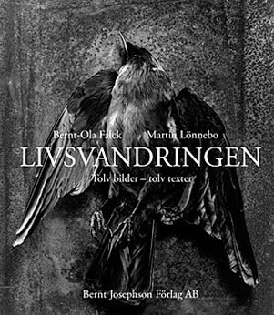 Cover for Martin Lönnebo · Livsvandringen. Tolv bilder - tolv texter (Bok) (2012)