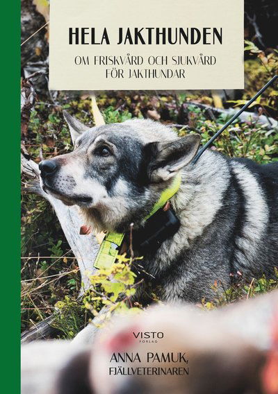 Hela jakthunden : om friskvård och sjukvård för jakthundar - Anna Pamuk - Livros - Visto Förlag - 9789178850808 - 5 de agosto de 2019