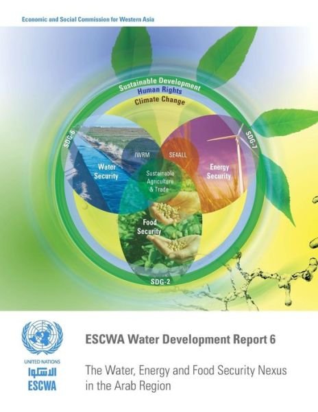 Cover for United Nations: Economic and Social Commission for Western Asia · The water, energy and food security nexus in the Arab region - Water development report (Paperback Book) (2016)