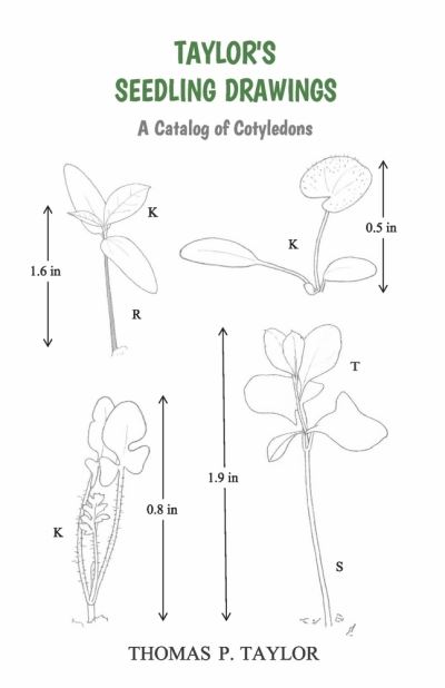 Cover for Thomas Taylor · Taylor's Seedling Drawings (Book) (2022)