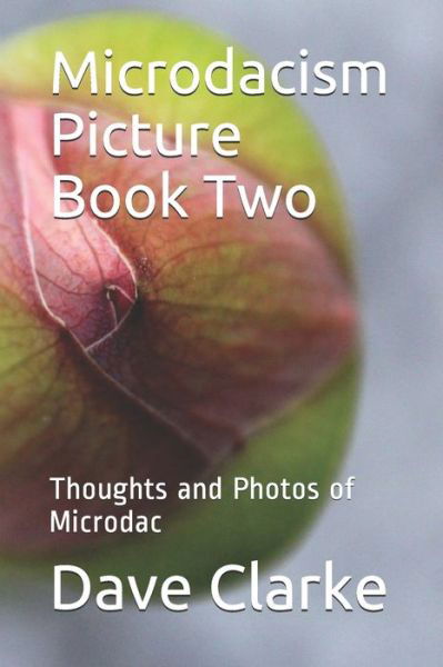Microdacism Picture Book Two - Dave Clarke - Kirjat - Independently Published - 9798701171808 - keskiviikko 27. tammikuuta 2021