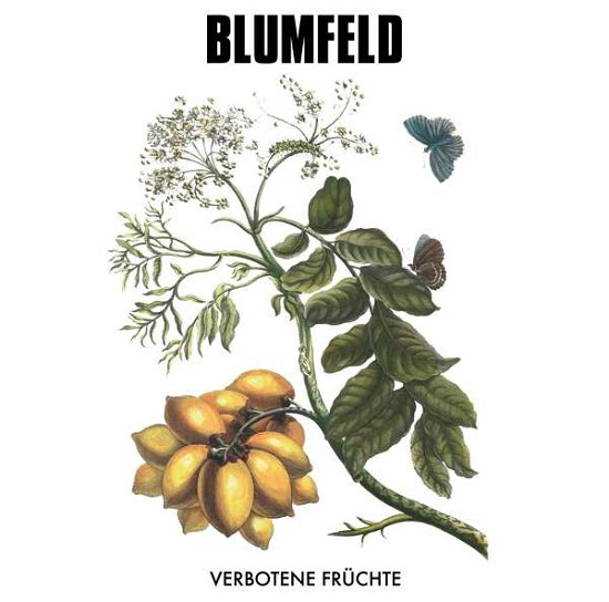 Cover for Blumfeld · Verbotene Früchte (VINIL) [New Vinyl edition] (2020)
