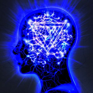 The Mindsweep - Enter Shikari - Muziek - PLAY IT AGAIN SAM - 5051083085809 - 19 januari 2015