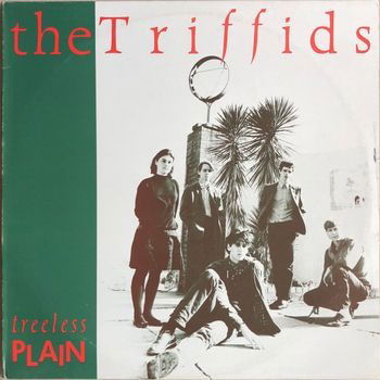 Cover for The Triffids · Treeless Plain (40Th Anniversary) (CD) (2024)