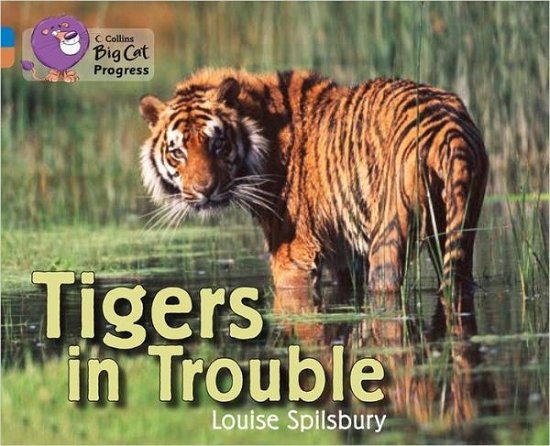 Cover for Louise Spilsbury · Tigers in Trouble: Band 04 Blue / Band 12 Copper - Collins Big Cat Progress (Paperback Book) (2012)