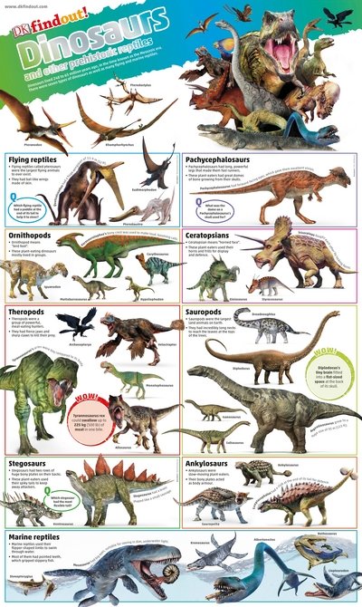 Cover for Dk · DKfindout! Dinosaurs Poster - DKfindout! (Landkart) (2017)