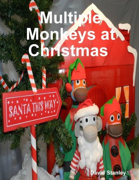 Cover for David Stanley · Multiple Monkeys at Christmas (Book) (2019)