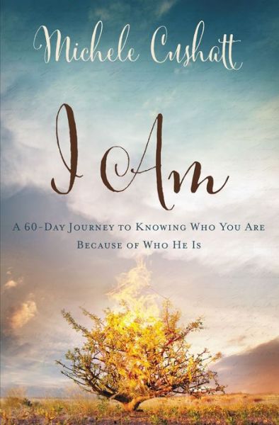 I Am: A 60-Day Journey to Knowing Who You Are Because of Who He Is - Michele Cushatt - Books - Zondervan - 9780310339809 - February 23, 2017