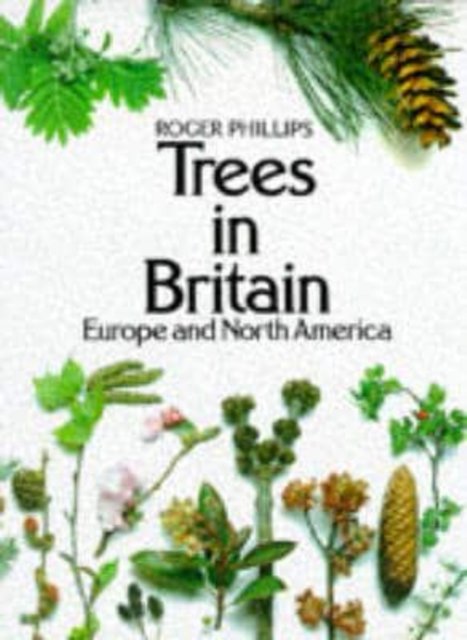 Cover for Roger Phillips · Trees in Britain, Europe and North America (Pocketbok) (1978)