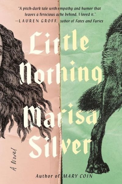Cover for Silver · Little Nothing (Bok) (2017)