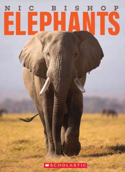 Cover for Nic Bishop · Nic Bishop Elephants (Gebundenes Buch) (2022)