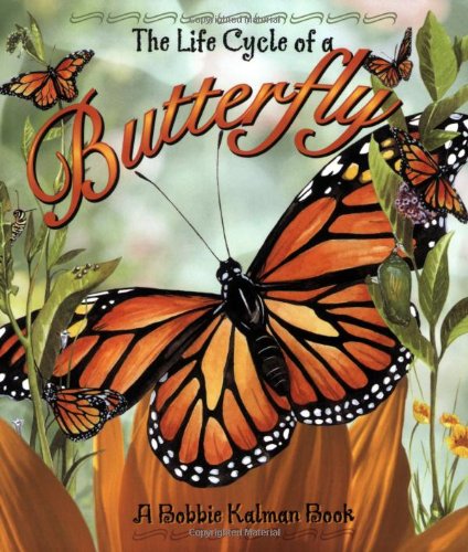 The Life Cycle of a Butterfly - Bobbie Kalman - Books - Crabtree Pub Co - 9780778706809 - October 31, 2001