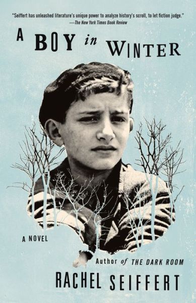 Cover for Rachel Seiffert · A Boy in Winter: A Novel - Vintage International (Taschenbuch) (2018)