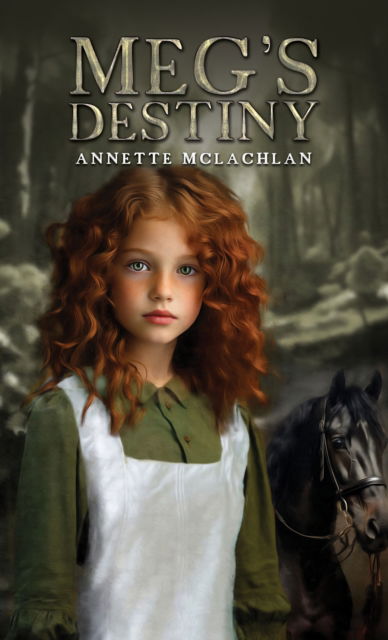 Cover for Annette McLachlan · Meg's Destiny (Paperback Book) (2024)