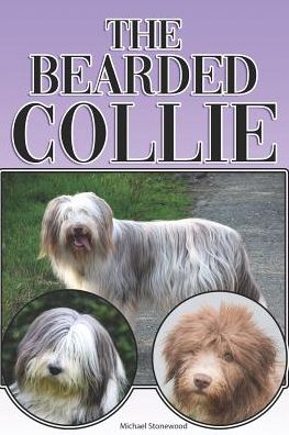 Cover for Michael Stonewood · The Bearded Collie (Paperback Book) (2019)