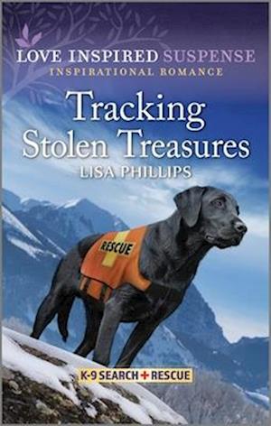 Cover for Phillips Lisa · Tracking Stolen Treasures (Paperback Book) (2023)