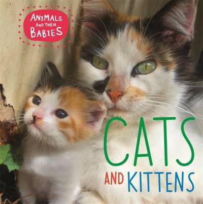 Cover for Annabelle Lynch · Animals and their Babies: Cats &amp; kittens - Animals and their Babies (Hardcover Book) [Illustrated edition] (2016)