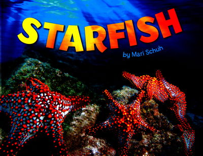 Cover for Mari Schuh · Starfish - Sea Life (Hardcover Book) (2015)